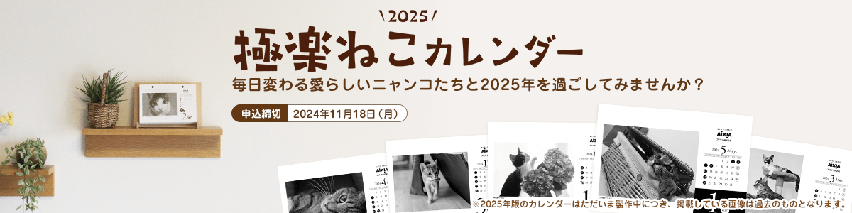 2025極楽ねこカレンダー