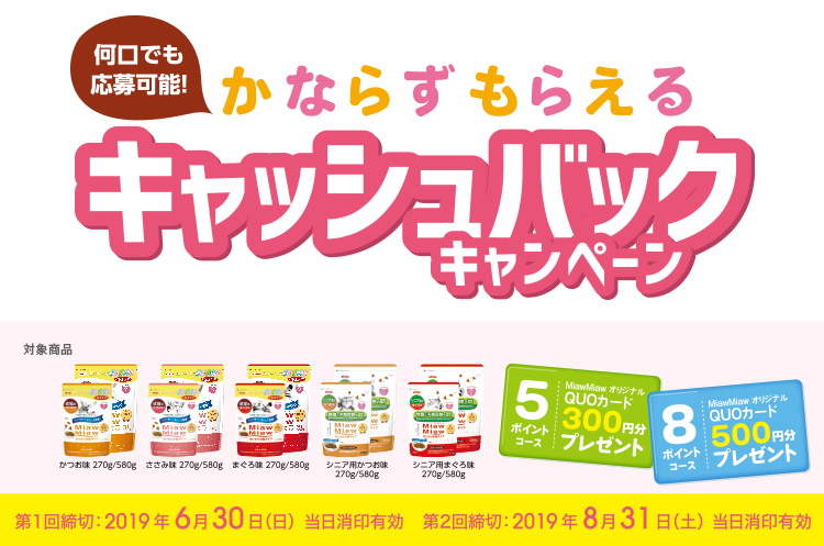 かならずもらえるキャッシュバックキャンペーン