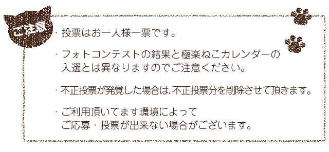 極楽ねこカレンダーフォトコンテスト22 Aixia