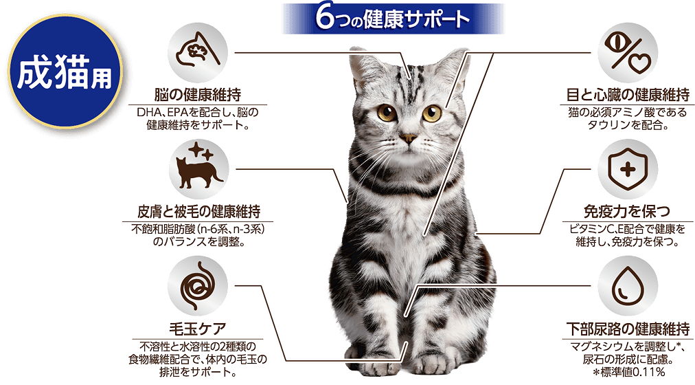 成猫用