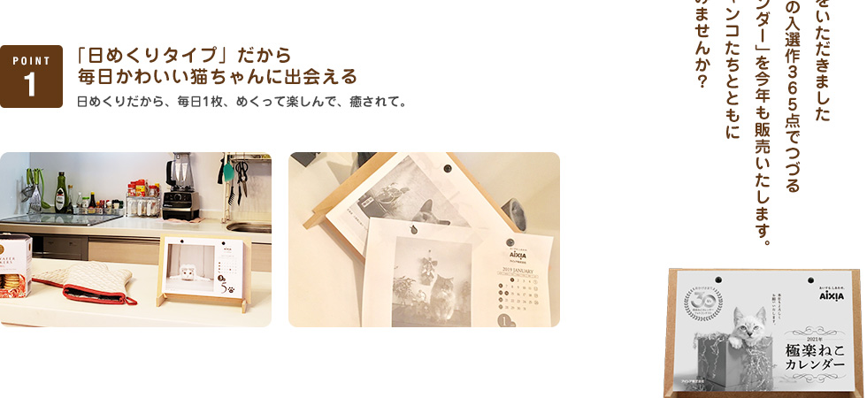「日めくりタイプ」だから毎日かわいい猫ちゃんに出会える 日めくりだから、毎日1枚、めくって楽しんで、癒されて。