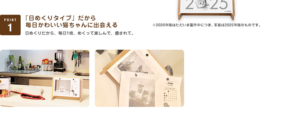 「日めくりタイプ」だから毎日かわいい猫ちゃんに出会える 日めくりだから、毎日1枚、めくって楽しんで、癒されて。