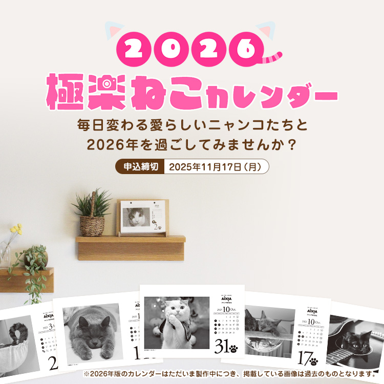 2026極楽ねこカレンダー販売