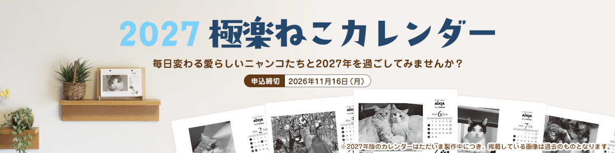 2027極楽ねこカレンダー販売