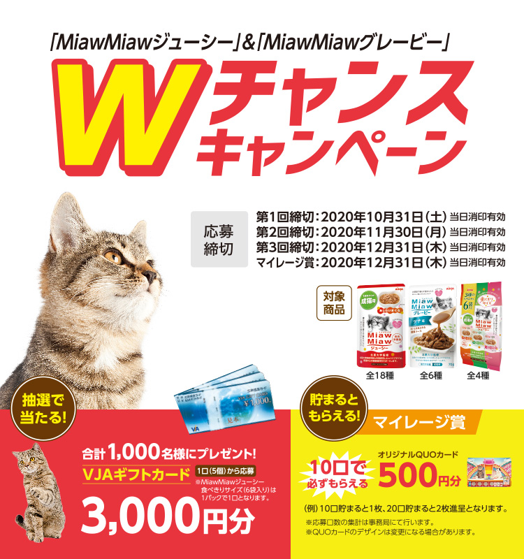 ネコちゃんのリラックス度チェック A Iペプチドで愛猫のストレスケア ミャウミャウ Miawmiaw アイシア Aixia