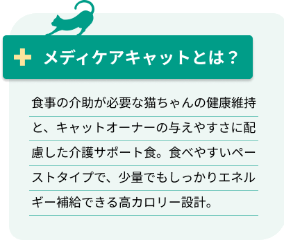 メディケアキャットとは？