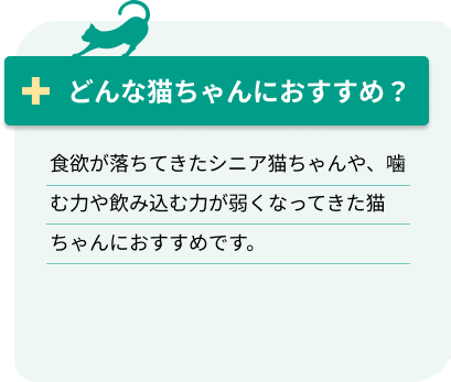 どんな猫ちゃんにおすすめ？