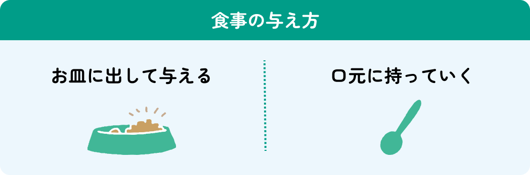食事の与え方 お皿に出して与える