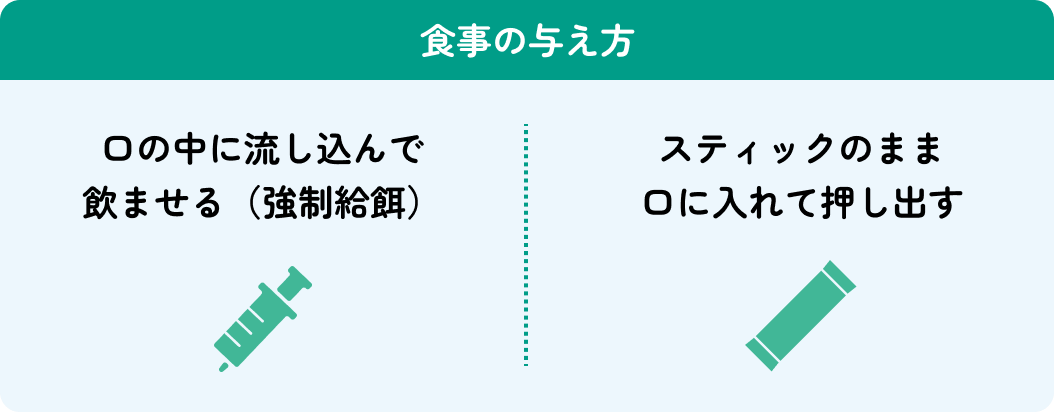 食事の与え方 口の中に流し込んで飲ませる（強制給餌） | スティックのまま口に入れて押し出す