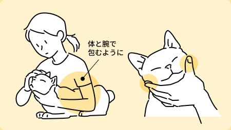 猫ちゃんを体と腕で包むように抱く